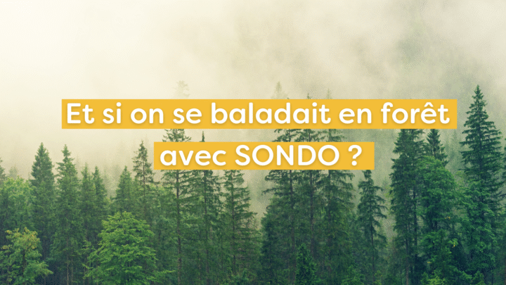 Sélection SONDO forêt